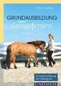 Grundausbildung von Gangpferden
