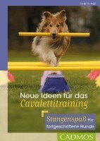 Steffi Rumpf - Neue Ideen für das Cavalettitraining, Häftad