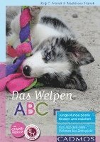 Madeleine Franck, Rolf C. Franck - Das Welpen-ABC Junge Hunde positiv fördern und erziehen, Häftad. Tillgänglighet: Lägg i varukorg
