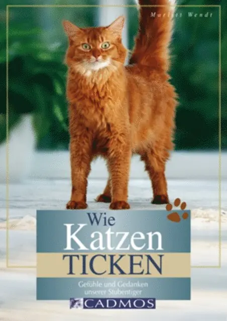 Marlitt Wendt - Wie Katzen ticken, E-bok. Tillgänglighet: Lägg i varukorg