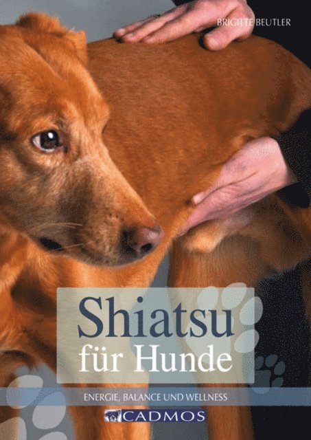 Shiatsu für Hunde