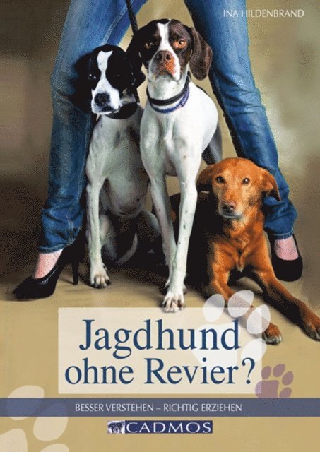 Jagdhund ohne Revier