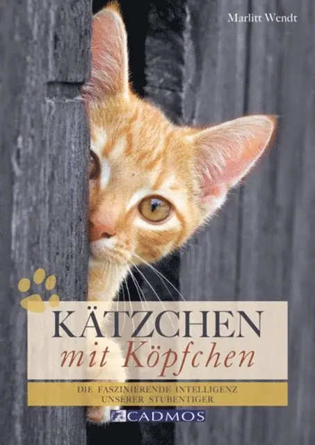 Marlitt Wendt - Kätzchen mit Köpfchen, E-bok. Tillgänglighet: Lägg i varukorg