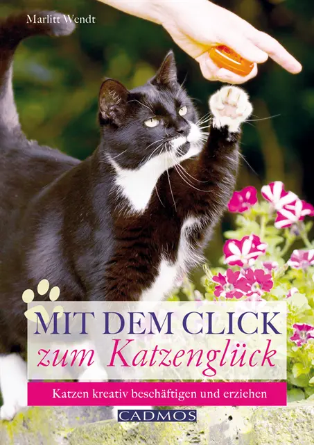 Marlitt Wendt - Mit dem Click zum Katzenglück, E-bok. Tillgänglighet: Lägg i varukorg