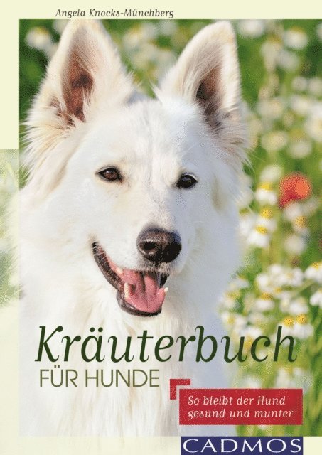 Angela Knocks-Munchberg - Kräuterbuch für Hunde, E-bok