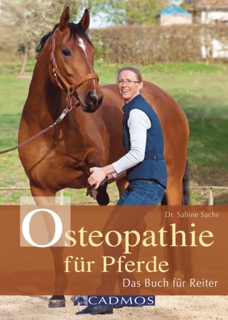 Osteopathie für Pferde