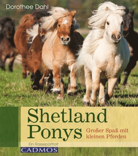 Dorothee Dahl - Shetlandponys, E-bok