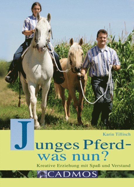 Junges Pferd - was nun?