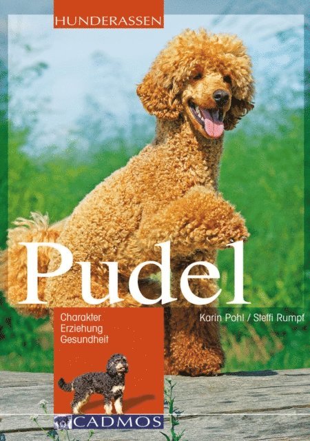 Steffi Rumpf, Karin Pohl - Pudel, E-bok