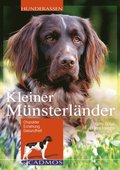 Kleiner Münsterlÿnder