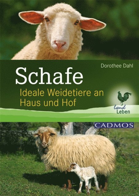 Dorothee Dahl - Schafe, E-bok