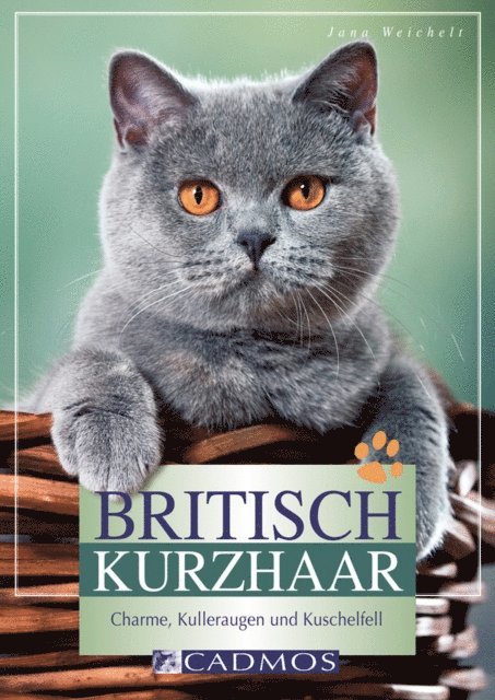 Jana Weichelt - Britisch Kurzhaar, E-bok. Tillgänglighet: Lägg i varukorg