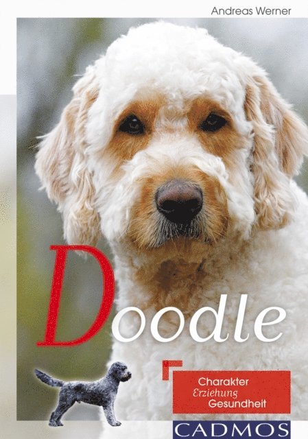 Andreas Werner - Doodle, E-bok