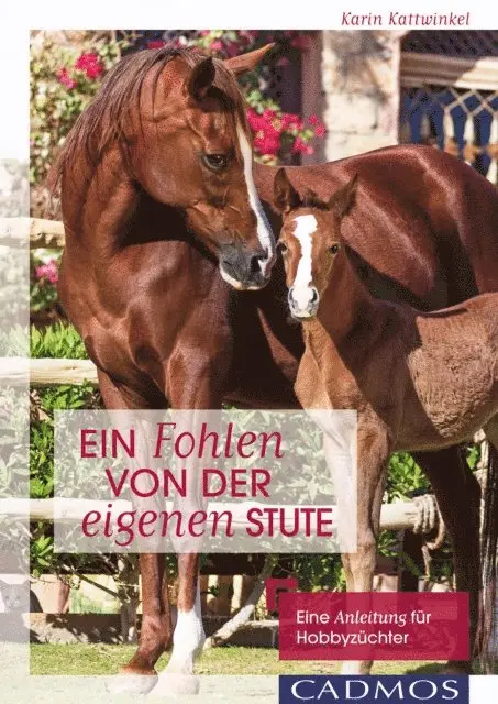 Karin Kattwinkel - Ein Fohlen von der eigenen Stute, E-bok. Tillgänglighet: Lägg i varukorg