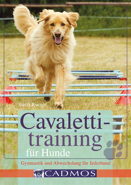 Steffi Rumpf - Cavalettitraining für Hunde, E-bok