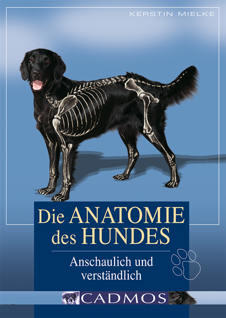 Kerstin Mielke - Die Anatomie des Hundes, E-bok. Tillgänglighet: Lägg i varukorg