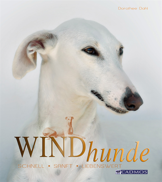 Dorothee Dahl - Windhunde, E-bok
