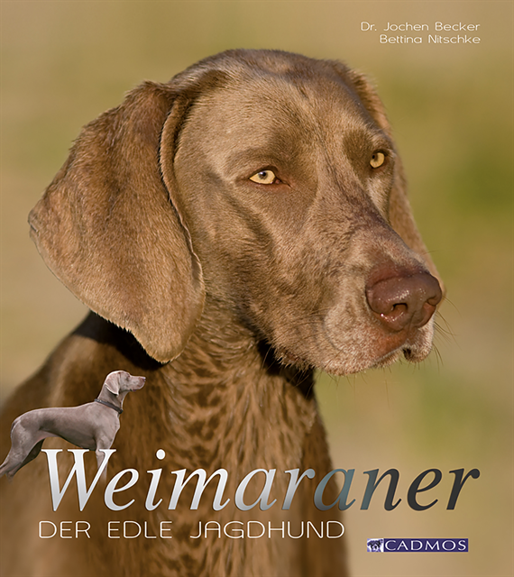 Bettina Nitschke, Jochen Becker - Weimaraner, E-bok
