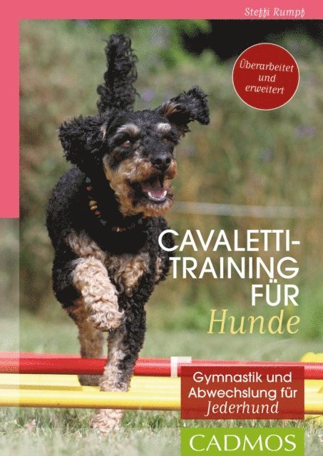 Steffi Rumpf - Cavalettitraining für Hunde, E-bok