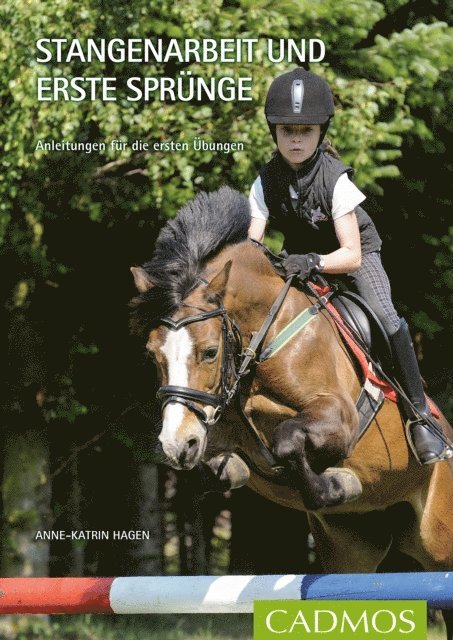 Anne-Katrin Hagen - Stangenarbeit und erste Sprünge, E-bok