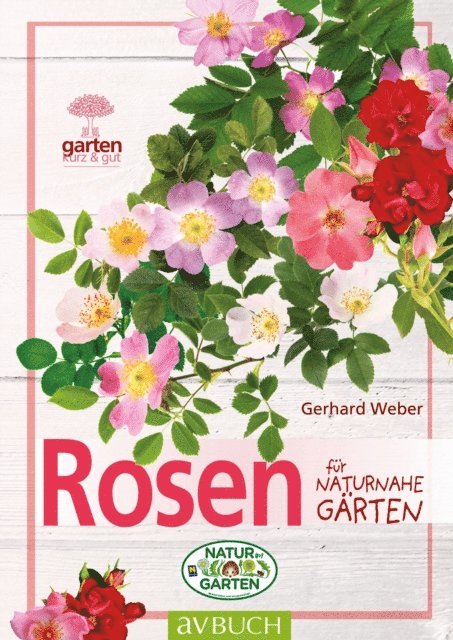 Gerhard Weber - Rosen, E-bok