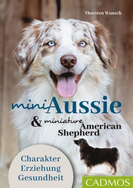Thorsten Wunsch - Mini Aussie und Miniature American Shepherd, E-bok. Tillgänglighet: Lägg i varukorg