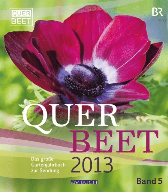 Bayrischer Rundfunk - Querbeet  2013 (5), E-bok
