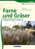 Farne und GrÃ¿ser