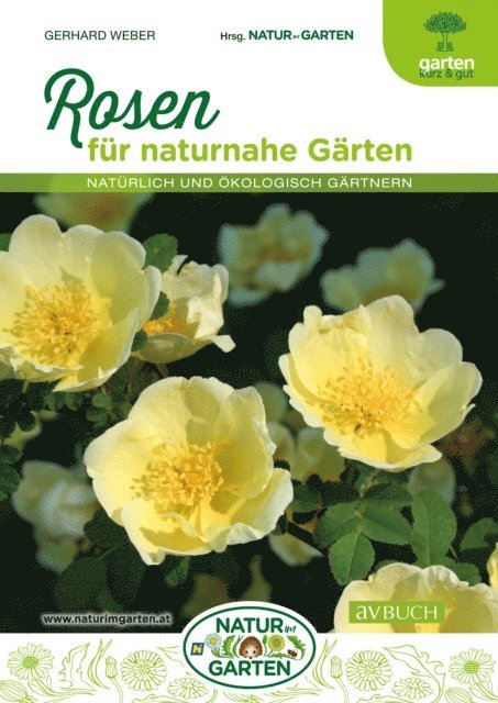 Gerhard Weber - Rosen, E-bok