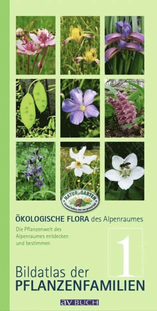 Silvia Winter, Matthias Kropf, Wolfgang Adler, Wolfgang Holzner - Ökologische Flora des Alpenraumes, Band 1, E-bok