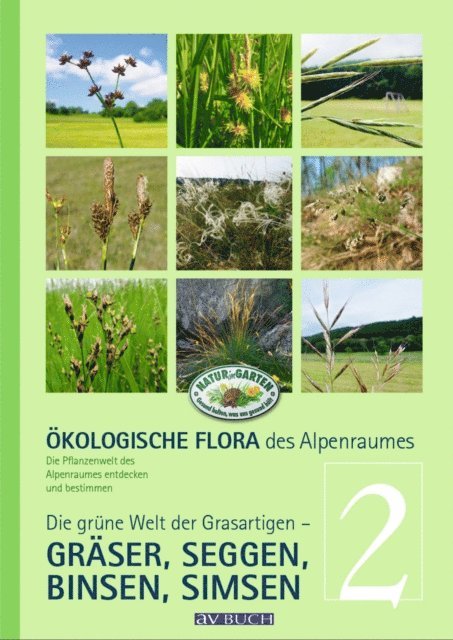 Silvia Winter, Matthias Kropf, Wolfgang Adler, Wolfgang Holzner - Ökologische Flora des Alpenraumes, Band 2, E-bok