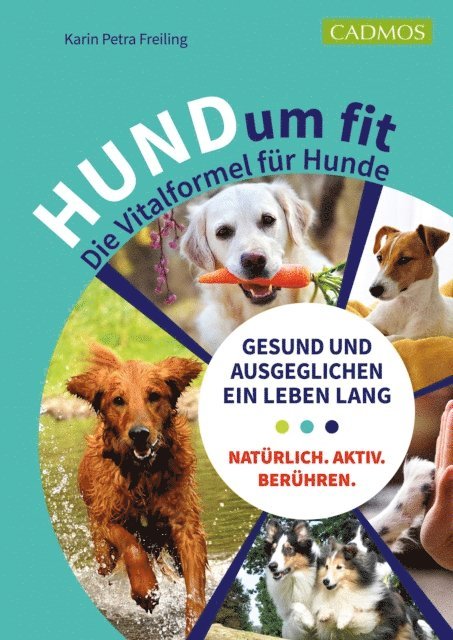 Karin Petra Freiling - HUNDum fit, E-bok. Tillgänglighet: Lägg i varukorg