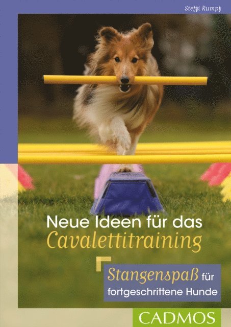 Steffi Rumpf - Neue Ideen für das Cavalettitraining, E-bok