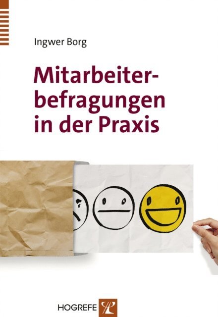 Ingwer Borg - Mitarbeiterbefragungen in der Praxis, E-bok