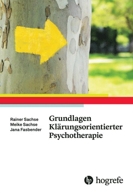 Jana Fasbender, Meike Sachse, Rainer Sachse - Grundlagen Klärungsorientierter Psychotherapie, E-bok