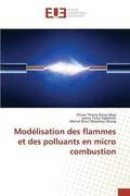 Modelisation Des Flammes Et Des Polluants En Micro Combustion