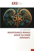 Insuffisance Renale Aigu En Soins Intensifs