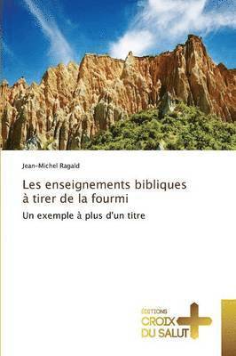 Ragald-J - Les Enseignements Bibliques À Tirer de la Fourmi, Häftad