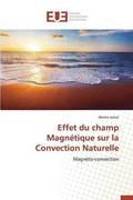 Effet Du Champ Magn tique Sur La Convection Naturelle