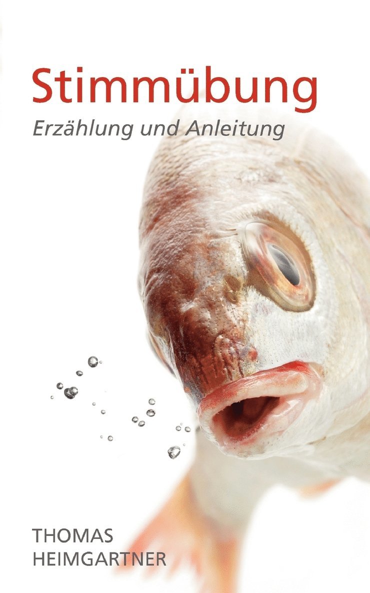 Thomas Heimgartner - Stimmübung, Häftad