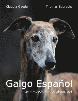 Claudia Gaede, Thomas Ebbrecht - Galgo Español, Häftad