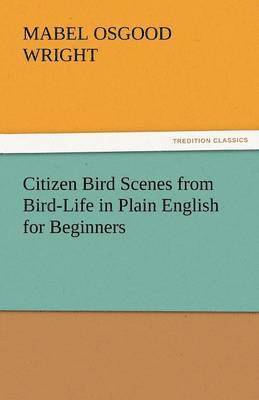 Mabel Osgood Wright - Citizen Bird Scenes from Bird-Life in Plain English for Beginners, Häftad