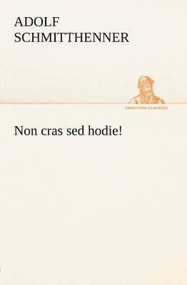 Adolf Schmitthenner - Non Cras sed Hodie!, Häftad
