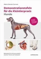 Alberto Berneto Carmona - Demonstrationstafeln für die Kleintierpraxis Hunde, Häftad. Tillgänglighet: Lägg i varukorg