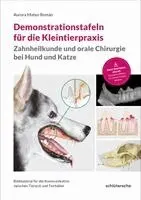 Aurora Mateo Román - Demonstrationstafeln für die Kleintierpraxis, Zahnheilkunde und orale Chirurgie bei Hund und Katze, Häftad. Tillgänglighet: Lägg i varukorg