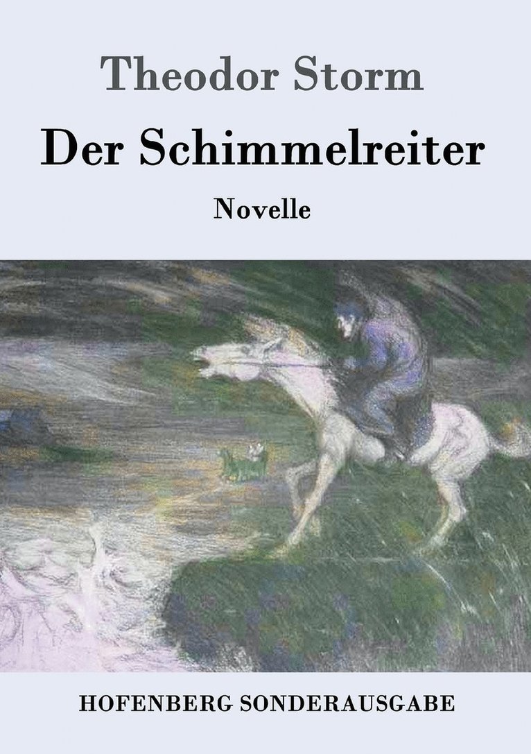 Theodor Storm - Schimmelreiter, Häftad
