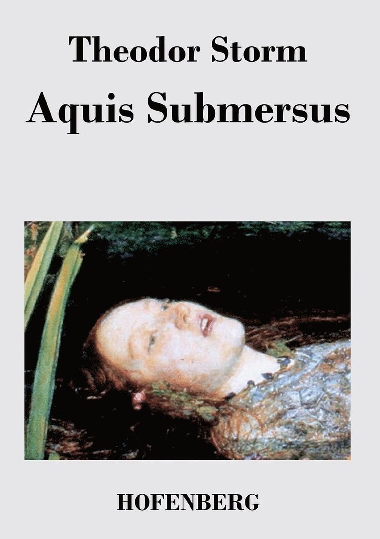 Theodor Storm - Aquis Submersus, Häftad