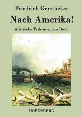 Friedrich Gerstäcker - Nach Amerika!, Häftad