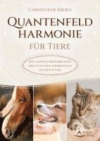 Christiane Krieg - Quantenfeldharmonie für Tiere, Häftad