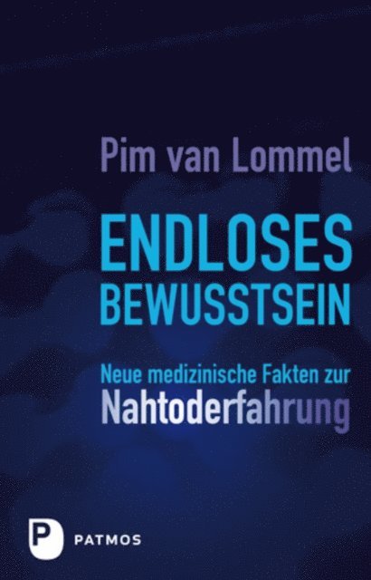 Pim van Lommel - Endloses Bewusstsein, E-bok